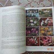 Голяма енциклопедия за растенията от А до Я, снимка 3 - Енциклопедии, справочници - 14108662