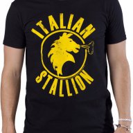 ХИТ МОДЕЛ! Мъжки FITNESS тениски ITALIAN STALLION ROCKY! Бъди различен, поръчай С Твоя идея!, снимка 3 - Тениски - 15473984