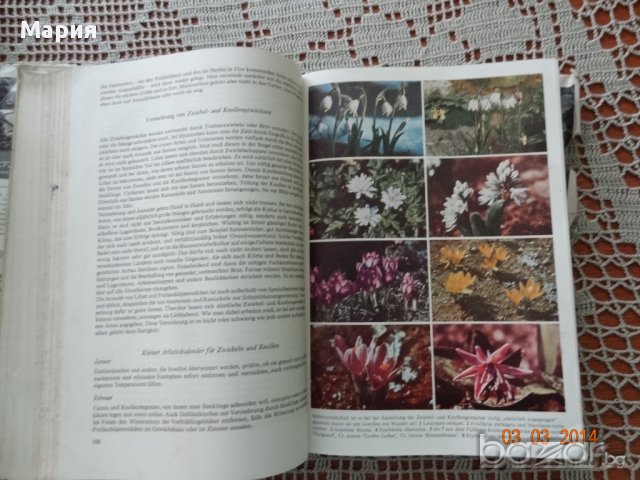 Голяма енциклопедия за растенията от А до Я, снимка 3 - Енциклопедии, справочници - 14108662