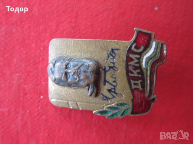 Стара значка знак  ДКМС бронз емайл ранен соц, снимка 3 - Колекции - 25471495