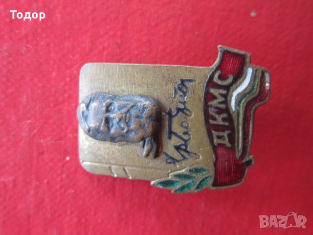 Стара значка знак  ДКМС бронз емайл ранен соц, снимка 3 - Колекции - 25471495