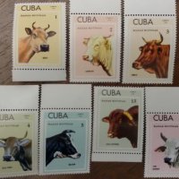 Куба 1973 - Фауна, породи говеда, снимка 1 - Филателия - 24345935
