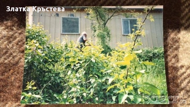 2 бунгала в село Мрамор,на 2 км от село Вукан Трънско, снимка 3 - Вили - 17893275