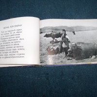 "Моите другари" детска книжка с фотографии издание 1943г., снимка 9 - Детски книжки - 24564085