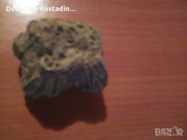 Корал, вкаменелост,фосили от някогашно дъно на море, снимка 7 - Антикварни и старинни предмети - 24170532
