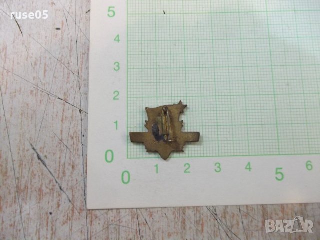 Значка "1919-1957 KISZ IFJUSÁGA SZOCIALIZMUSÉRT", снимка 2 - Други ценни предмети - 21906375