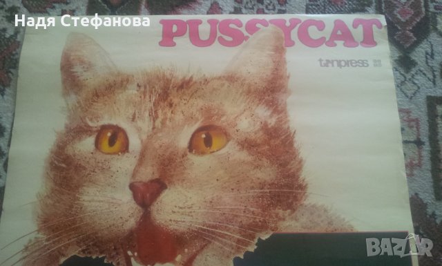 Плакат на Пусикет, оригинал ЕМИ 1978 г  PUSSYKAT, снимка 3 - Антикварни и старинни предмети - 26175060