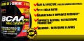 San BCAA Pro Reloaded 12:1:1, 458 грама, снимка 3