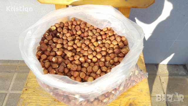 Еко Лешникова ядка - селектирана реколта сезон 2025, снимка 3 - Други - 23624590