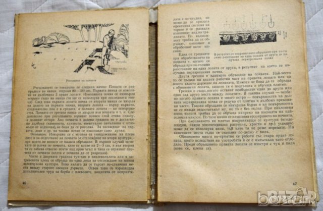 Голямата радост от малката градина Лайош Затко Ержебет Драшкоци, снимка 4 - Специализирана литература - 23432221