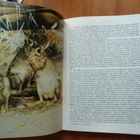 Нови приключения с диви животни - Бернхард Гжимек, снимка 3 - Специализирана литература - 21946443