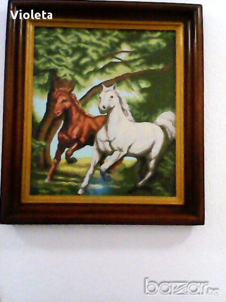 Бягащи коне, снимка 1