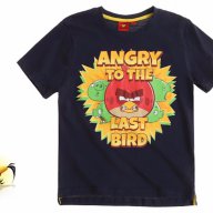 Детска тениска Angry Birds за 8 и 12 г. - М1-3, снимка 1 - Детски тениски и потници - 17294716