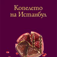 Копелето на Истанбул , снимка 1 - Художествена литература - 14136612