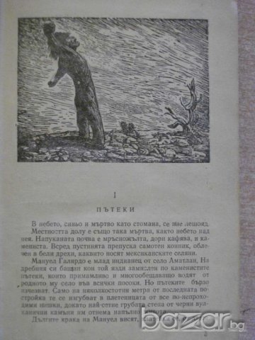 Книга "Кладенецът на лешоядите - Норберт Фрид" - 376 стр., снимка 2 - Художествена литература - 7940074