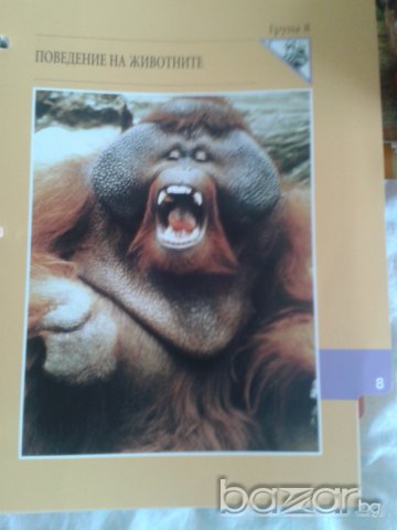 Енциклопедия Чудния свят на животните., снимка 11 - Колекции - 7575824