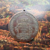 Румънски медал, снимка 1 - Антикварни и старинни предмети - 19853035
