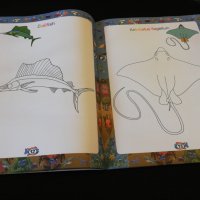 COLORING BOOK , снимка 8 - Детски книжки - 22676829