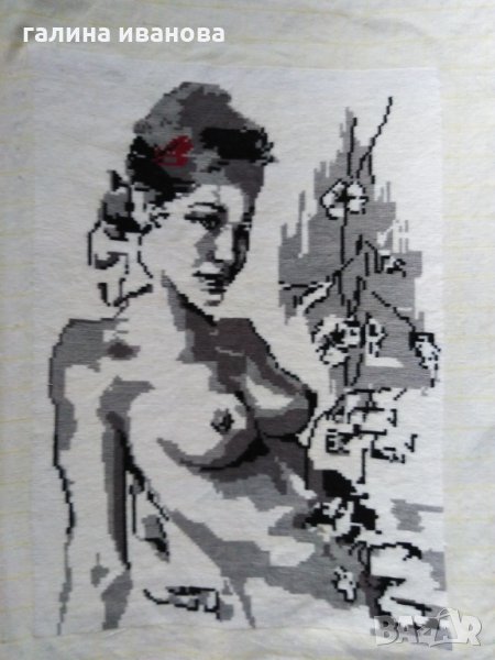 гоблен ,Голата 100 лв, снимка 1