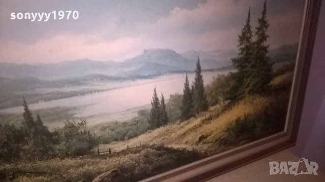 голяма картина-нов внос, снимка 10 - Колекции - 25769050