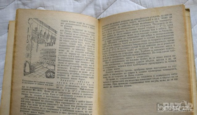 Голямата радост от малката градина Лайош Затко Ержебет Драшкоци, снимка 3 - Специализирана литература - 23432221