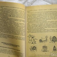 🍯 Пчеларство Колектив Дионис, снимка 4 - Специализирана литература - 23433985