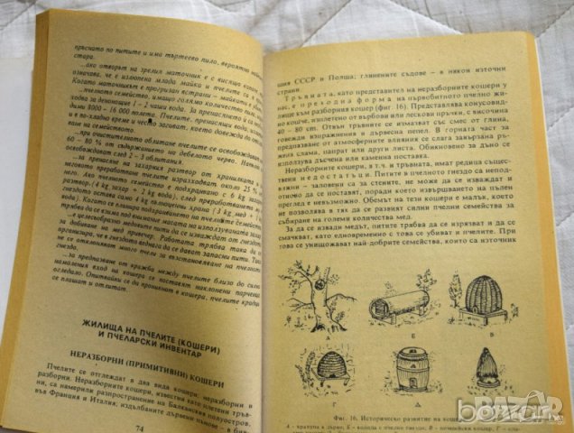 🍯 Пчеларство Колектив Дионис, снимка 4 - Специализирана литература - 23433985