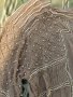 Zara Дамска бежова блуза с перли, снимка 2