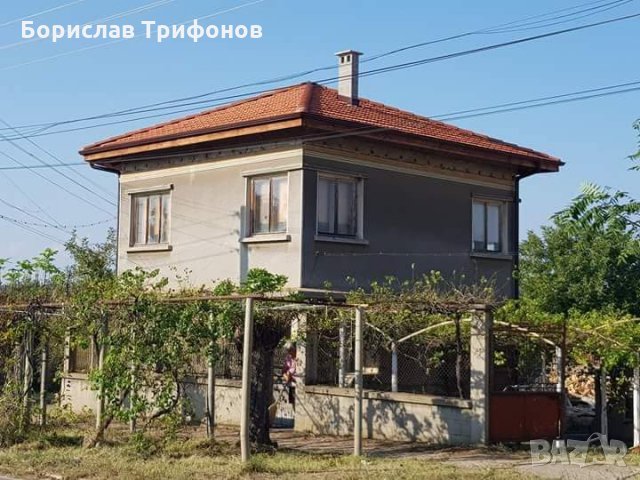 Американски безшевни улуци   ulucitrifonov.com 