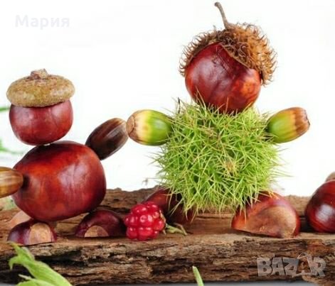 Кестени-0,40 лв/бр, снимка 5 - Подаръци за жени - 22845097