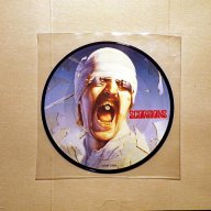 Vinyl-грамофонни плочи - MANFRED MANN / SANDii & THE SUNSETZ / GO GO'S - Picture Discs, снимка 7 - Грамофонни плочи - 16532730