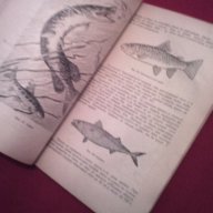 Зоология за 6 и 7 клас - 1954 г. , снимка 3 - Специализирана литература - 16952330