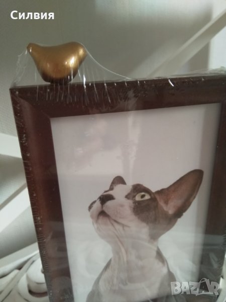 Ефектна Рамка, снимка 1