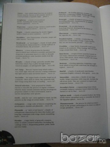 Книга ''Jungle Bugs in the Night'' - 168 стр., снимка 3 - Специализирана литература - 7819366