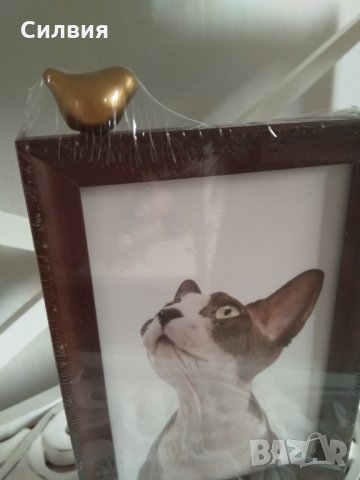 Ефектна Рамка