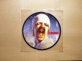 Vinyl-грамофонни плочи - MANFRED MANN / SANDii & THE SUNSETZ / GO GO'S - Picture Discs, снимка 7