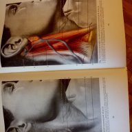 Цветен атлас "Рельефная анатомия человека", снимка 2 - Специализирана литература - 15458846