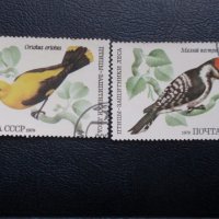 Пощенски марки от различни страни, снимка 13 - Филателия - 24330972