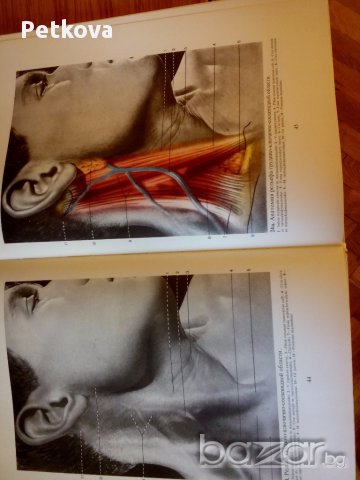 Цветен атлас "Рельефная анатомия человека", снимка 2 - Специализирана литература - 15458846