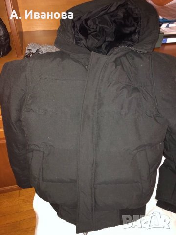 Мъжко яке Staff