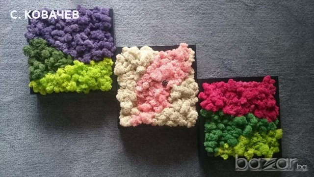 Уникални, модерни,свежи живи картини от естествен мъх.Градина в дома, снимка 7 - Декорация за дома - 19336040