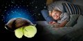Голяма Костенурка, Нощна лампа за детска стая , с мелодии за приспиване !!! , снимка 13