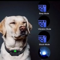 Електронен нашийник  за обучение на две кучета, снимка 4 - За кучета - 33281284