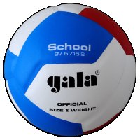 Волейболна топка Gala BV5715S SCHOOL - 12  нова , снимка 1 - Волейбол - 43912341
