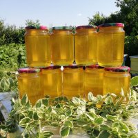 Пчелен мед липа и лавандула, снимка 1 - Пчелни продукти - 33652920