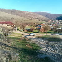 продава земеделска земя в с.Боснек, снимка 16 - Земеделска земя - 29111692