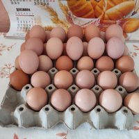 Домашни яйца, снимка 1 - други­ - 43602451