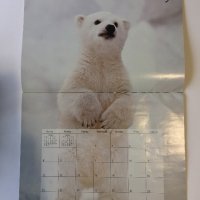 Стенен календар 2006 IFAW Animal Sanctuary Fund, снимка 6 - Други - 38776709