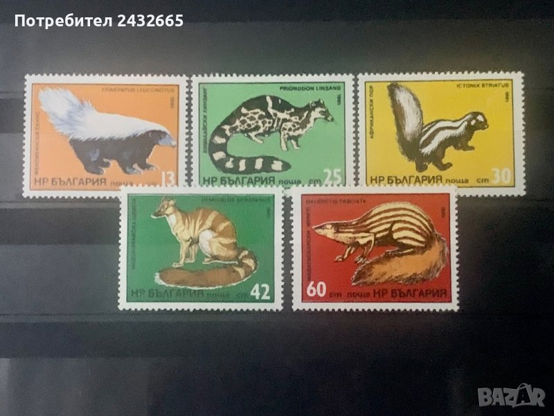 1131. България 1985 = БК: 3373 /77  “ Фауна. Екзотични хищници. ” , **,  MNH , снимка 1