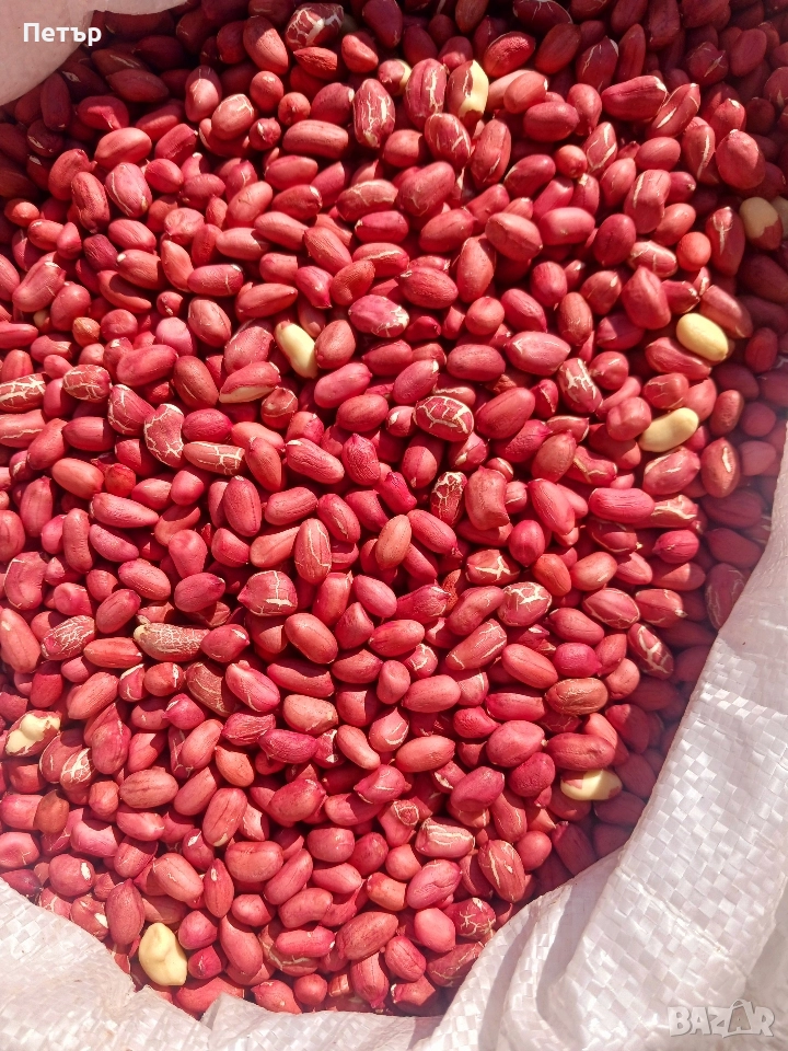 фъстъци български, снимка 1